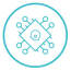 ico04 ico04